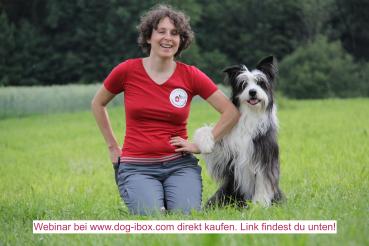 Motivation Teil 1 - Einzelne Tricks & kurze Sequenzen