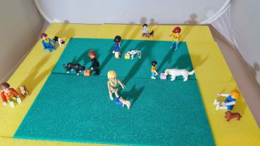 Gruppentraining 2.0 - Flows im Gruppenunterricht